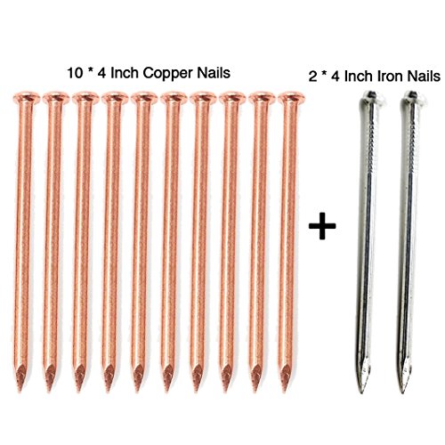 Zipcase 4 Inch (106mm) Solid Pure Copper Nails Extreme Long for Killing Trees, Stumps & Roots x 10 With 4 Inch Steel Nails x 2 - Thumbnail 3