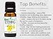 BioFinest Evening Primrose Organic Oil - 100% Pure Cold-Pressed - Premium Quality - Best Moisturizer - Rich in Omega-3 - Nourish Skin/Hair/Skin - Ease PMS Pain - FREE E-Book (10ml)