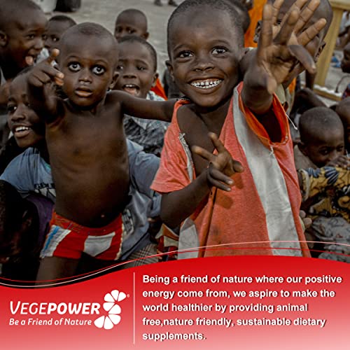 VEGEPOWER Apple Cider Vinegar Gummies ACV 1000mg Vegan Vitamin Supplement for Weight Control Detox Cleanse Non-GMO 90Count Natural Juice Beet Root, Pomegranate, Lemon