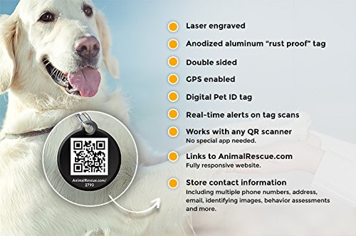 digital pet id tag
