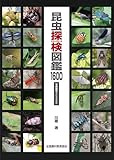 昆虫探検図鑑1600 -写真検索マトリックス付-