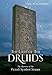 The Last of the Druids: The Mystery of the Pictish Symbol Stones by 