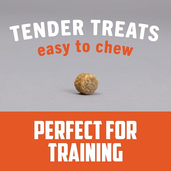 SPORTSMAN’S PRIDE FIELD MASTER PERFECT PARTNER CHICKEN & BROWN RICE RECIPE TRAINING DOG TREATS, 12 OZ.