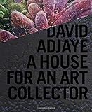 David Adjaye: A House for an Art Collector by 