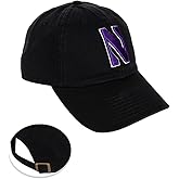 Desert Cactus Northwestern University Baseball Hat NU Wildcats Brimmed Embroidered Hats Cap Adjustable Cloth Strap Type A