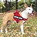 voopet Service Dog Harness, Emotional Support Pet Vest Harness, Reflective Breathable & Adjustable No Pull ESA Harness for Small Medium Large Dogs (with 4 PCS Removeable Tags),X Small (Pack of 1)