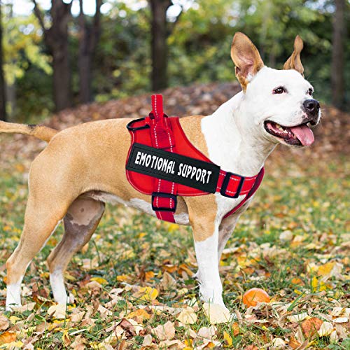 esa dog harness