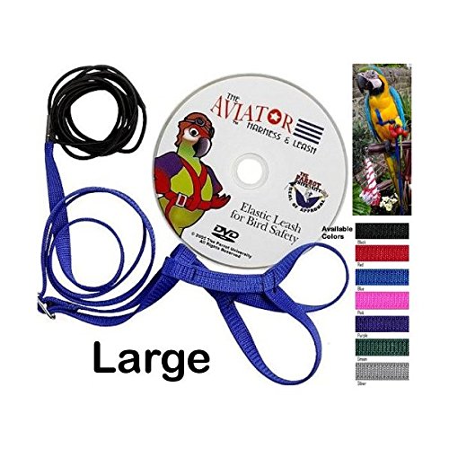 Aviator Bird Harness and Leash Size Large Color Blue Buy Online