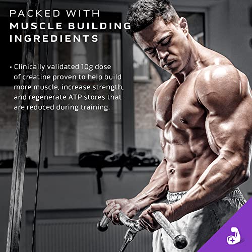 Muscletech Mass Gainer Protein Powder, MassTech Extreme 2000, Muscle