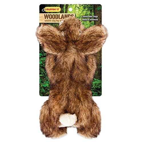 Retro Loonacy Card Game