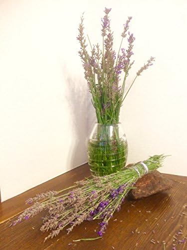 Dried Organic High Desert Lavender Flowers, Hand Picked Bunches of 150+ Stems with Buds 10-12”