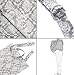Chalier Privacy Breast Feeding Cover Nursing Cover, Nursing Apron Nursing Cover Ups for Breastfeeding Baby in Public - Full Coverage, 100% Breathable Soft Cotton, Stylish and Elegant
