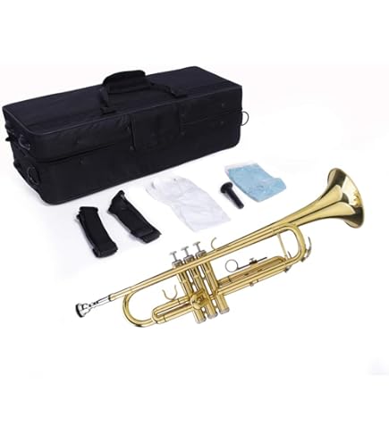 Amazon.com: Trumpet Standard Trumpet Set with Carrying Case