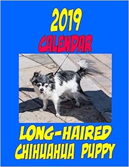 Buy 2019 Calendar Long Haired Chihuahua Puppy Dog Weekly Calendar