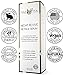 Night Revive Retinol Serum - Natural and Organic Ingredients - 1.5% Retinol with Vitamin's C + E - 1.18 Oz