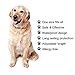 Flea Tick Collar for Dogs and Cats (Grey) - Repel & Prevent Fleas, Pests, Insects,Water Resistant,8 Month Protection,One Size Fits All(New Version) (20180207-Dog)