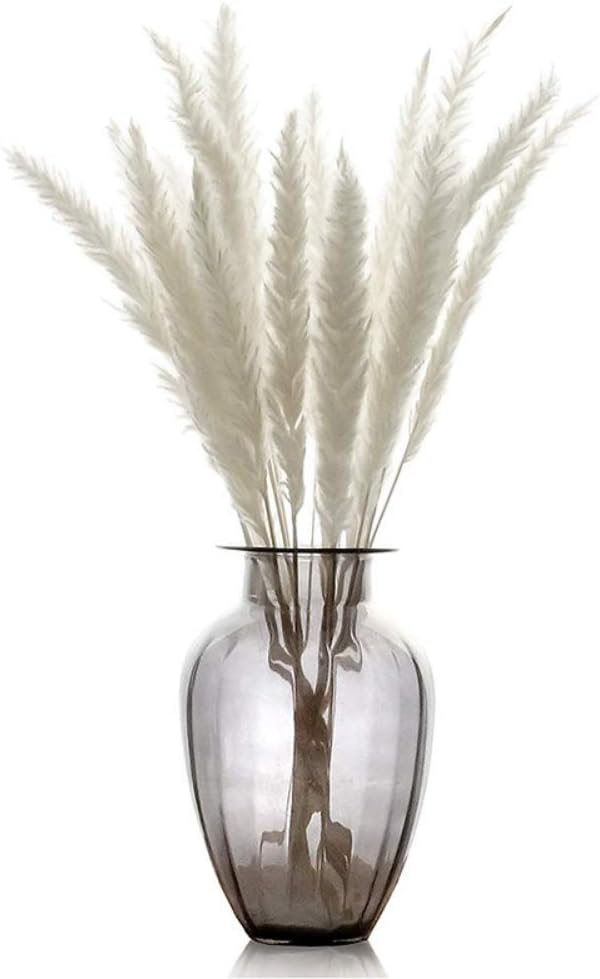 Anpay 15pcs Natural Dried Reed Flowers Bouquets Bunny Tails Rabbit Tail Grass for Home Tabletop Decoration