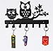 HeavenlyKraft Owl Key Holder - Metal Key Cabinet, Duo Key Hooks, 10.6 x 6.15 x 1 INCH