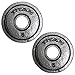 Titan Fitnes Cast Iron Olympic Plates, Classic Weight Plate Design, Silver Hammer Finish (5 LB Pair)