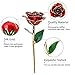 ZJchao 24K Red Rose Gifts for Her, Love Dipped Gold Real Rose Flower Preserved Eternal Christmas Anniversary Valentine's Day Present for Women/Wife/Girlfriend (Red)