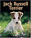 Jack Russell terrier (French Edition) by 