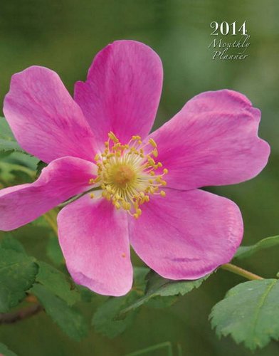 2014 Wildflowers Lrg Planner Planner