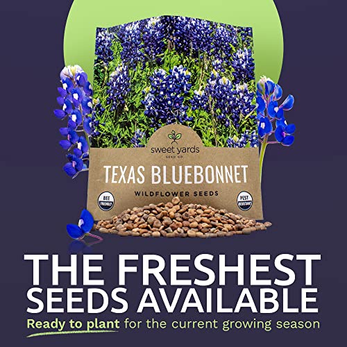 Texas Wildflower Seeds Bulk 1/2 Ounce Packet Over 500