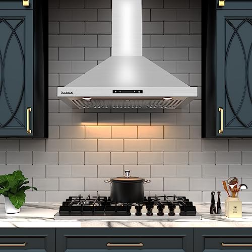 Empava 30 in. 380 CFM Wall Mount Range Hood with Ducted Exhaust Vent