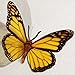 Butterfly 3D YELLOW Butterflies Translucent Decoration 15 count