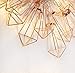 LuxLumi Diamonds are Forever Rose String Lights Gold & Wire Caged Soft White 20 LED Rustic Farmhouse Bedroom Nursery Dorm Home Décor Teen Kids Baby Fall Decorations (10.5FT)
