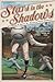 Stars in the Shadows: The Negro League All-Star Game of 1934