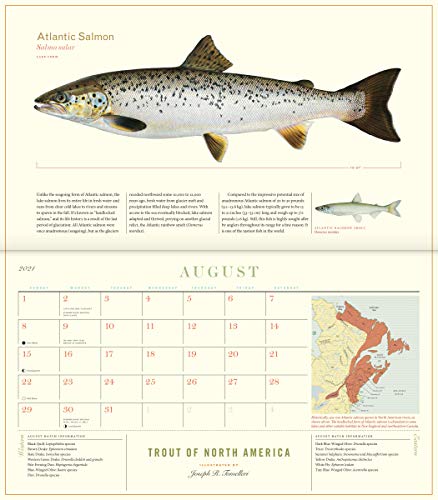 Trout of North America Wall Calendar 2021 | Pricepulse