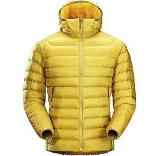 Arcteryx Cerium LT Hoody - Men's Golden Palm Large | Amazon price tracker /  tracking, Amazon price history charts, Amazon price watches, Amazon price  drop alerts | camelcamelcamel.com