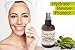 Cuddly Brand Vitamin C Facial Toner- Top Organic Alcohol-Free, Soothing, Hydrating Face Toner- Best Anti-Ageing Skin Care To Cleanse & Tighten Pores, Prevent Wrinkles, Moisturize & Replenish Face Skin