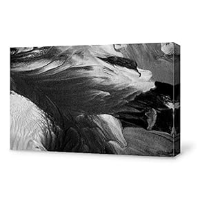 signwin Canvas Wall Art Modern Abstract Art Canvas...
