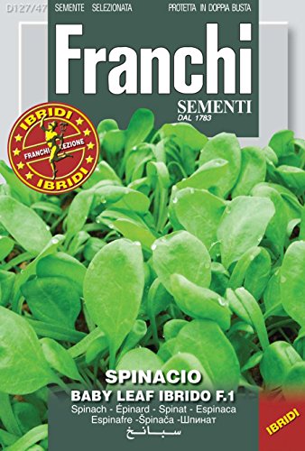 Italian Heirloom Spinach - Baby Leaf