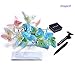 IMAGE Butterfly Solar String Lights Decorative Multi-Color Beautiful Animal Design Light 20 Led for Garden, Lawn, Patio, Wedding, Party, Bedroom, Outdoor Decoration