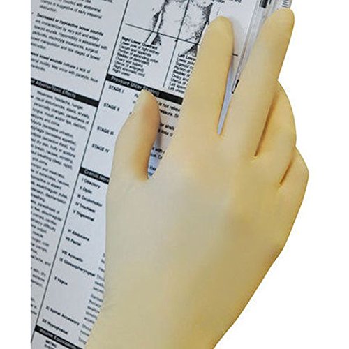 Polyco GL880-9.5 Bodyguards Original Latex PF Glove, Size 9.5