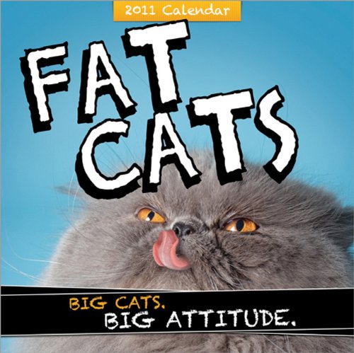 2011 Fat Cats wall calendar: Big cats. Big attitude.