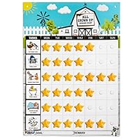 Playco Magnetic Reward Chart for Kids - Chores, Behaviors, Responsibilities, Routines - 11 X 15.5 Inches - A Must Have for Your Parenting Toolkit