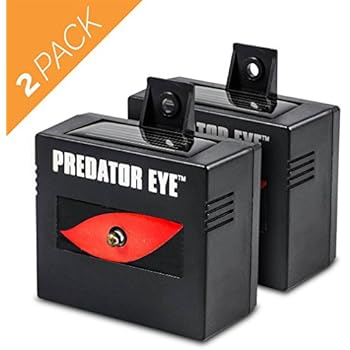 Amazon.com Nite Guard Solar NG-001 Predator Control 