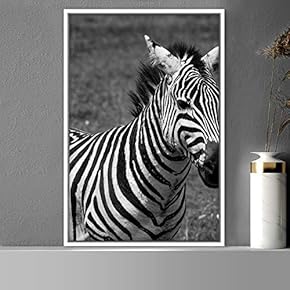 signwin Framed Canvas Wall Art Duotone Zebra Animals...