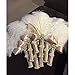 Coceca 10PCS White Ostrich Feathers 16-18inch 40-45cm for Wedding, Party, DIY