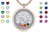 Memory Living Floating Charms Locket with Heart & Round Crystal Birthstones, Gifts for Women Kids Grandma Mother, 18k Gold 316L Stainless Steel Jewelry, Free Chain & Gift Box
