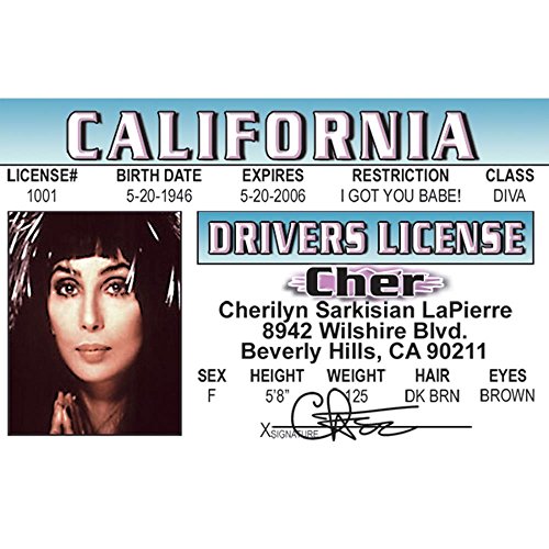 Signs 4 Fun Nchid Cher's Driver's License