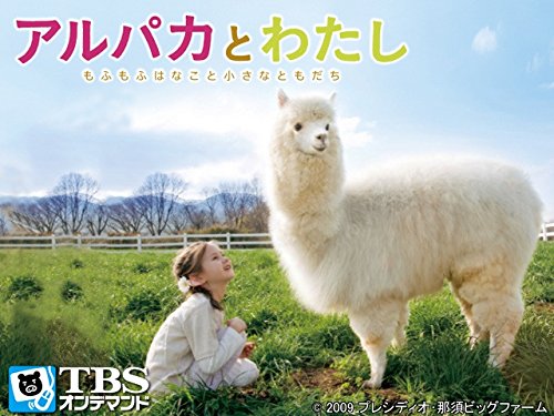 Amazon Co Jp アルパカとわたし もふもふはなこと小さなともだち Tbsオンデマンド を観る Prime Video