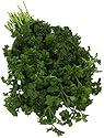 Parsley, 1 Bunch