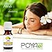 Lemon Essential Oil 10 ml (0.33 fl. Oz.) - GCMS Tested, 100% Pure, Undiluted and Therapeutic Grade