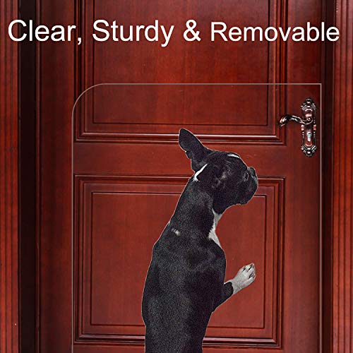 claw shield toughest scratch protector