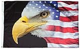 FlagSource U.S. Flag with Eagle Nylon Decorative